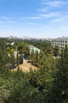 Dağ üstü park – şəkil 9