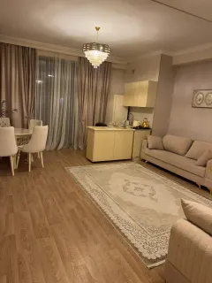 Kirayə 2 otaqlı Mənzil 68 m² Nəsimi r. 28 May m. – şəkil 7