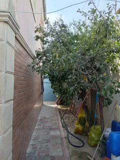 Satılır 4 otaqlı Həyət evi / Bağ evi 240 m² Sumqayıt – şəkil 2