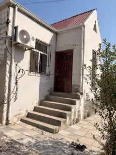 Real alicilar zeng vursun – şəkil 15