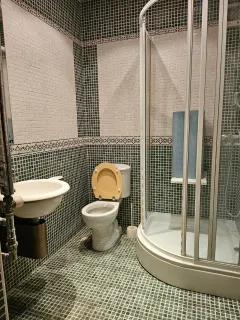 Kirayə 9 otaqlı Həyət evi / Bağ evi 700 m² Nəsimi r. – şəkil 4