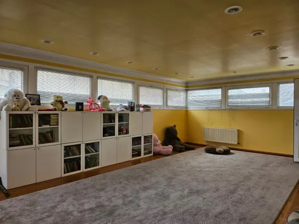 Kirayə 9 otaqlı Həyət evi / Bağ evi 700 m² Nəsimi r.