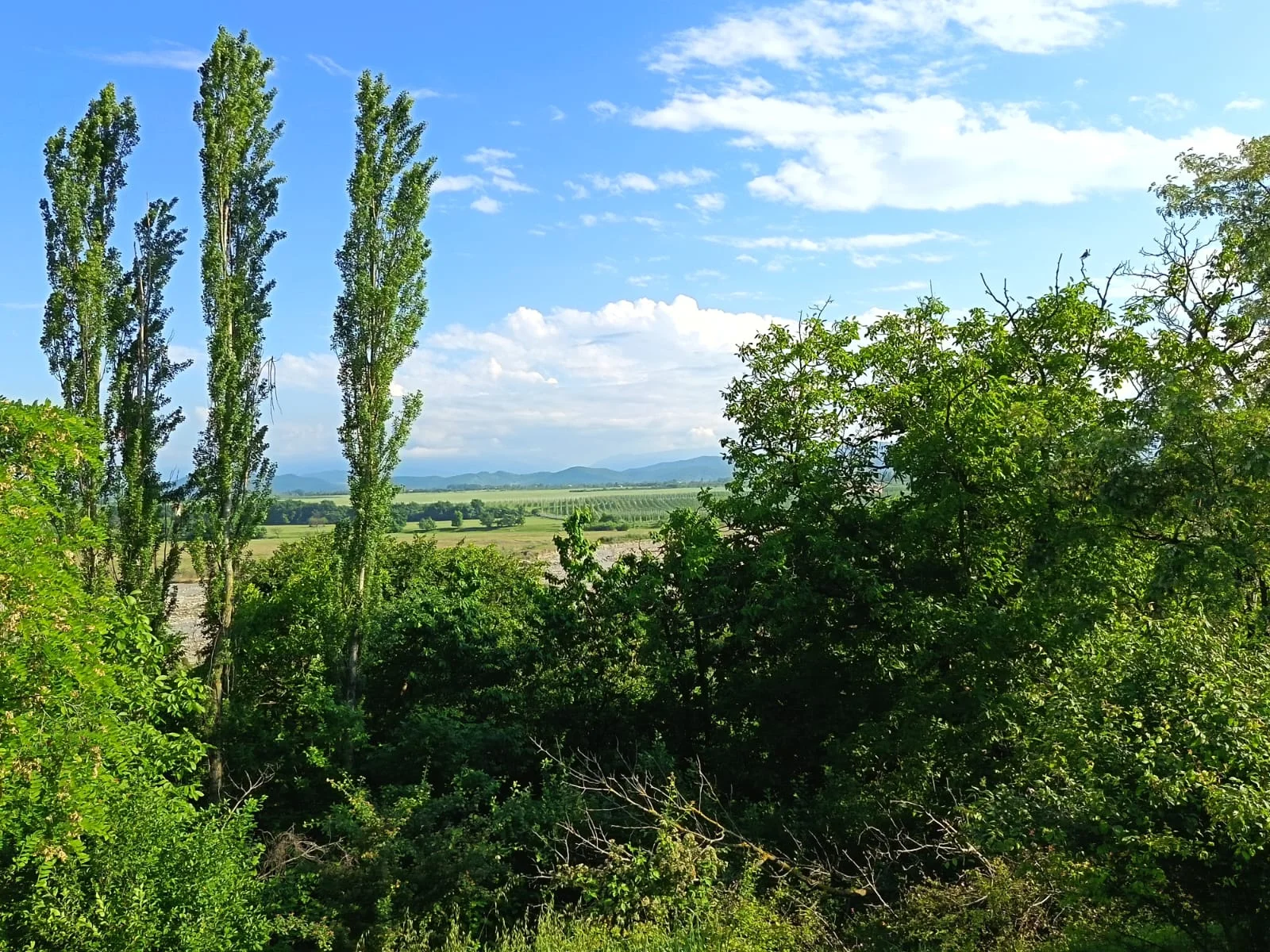 Satılır Torpaq Quba
