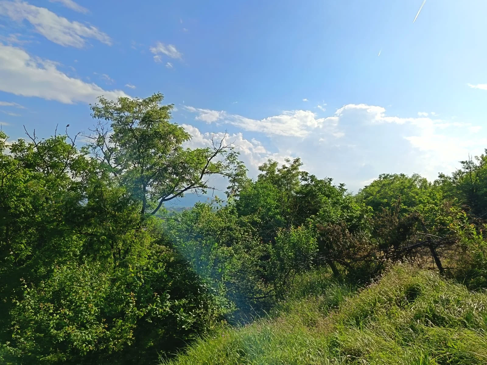 Satılır Torpaq Quba