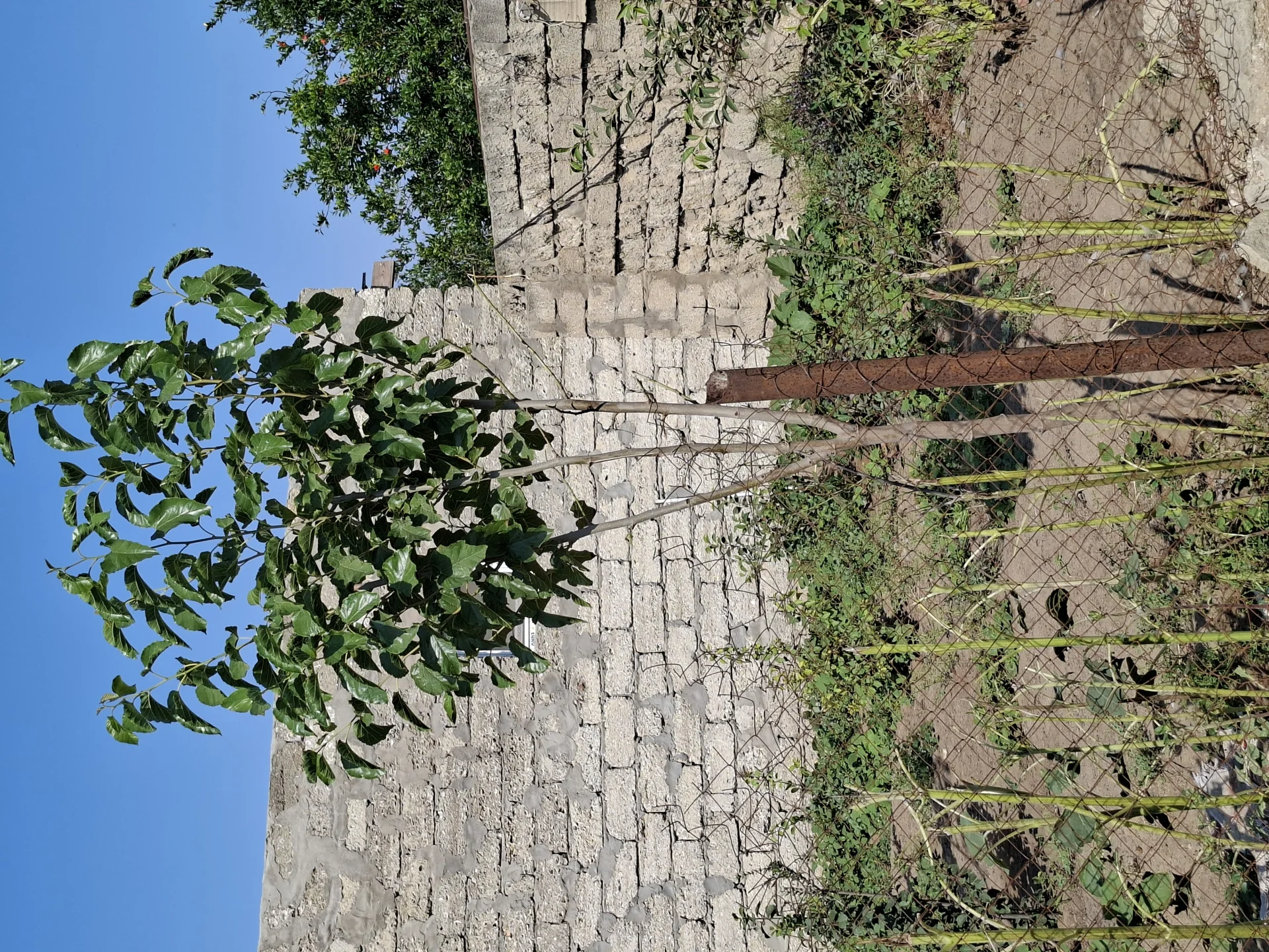 Satılır 3 otaqlı Həyət evi / Bağ evi 100 m² Xəzər r.