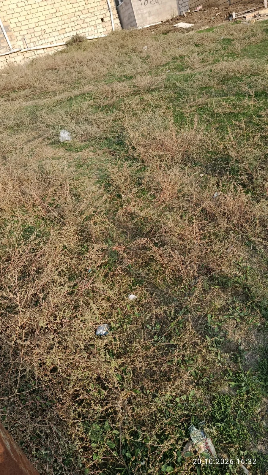 Satılır 1 otaqlı Həyət evi / Bağ evi 2 m² Abşeron r. – şəkil 1