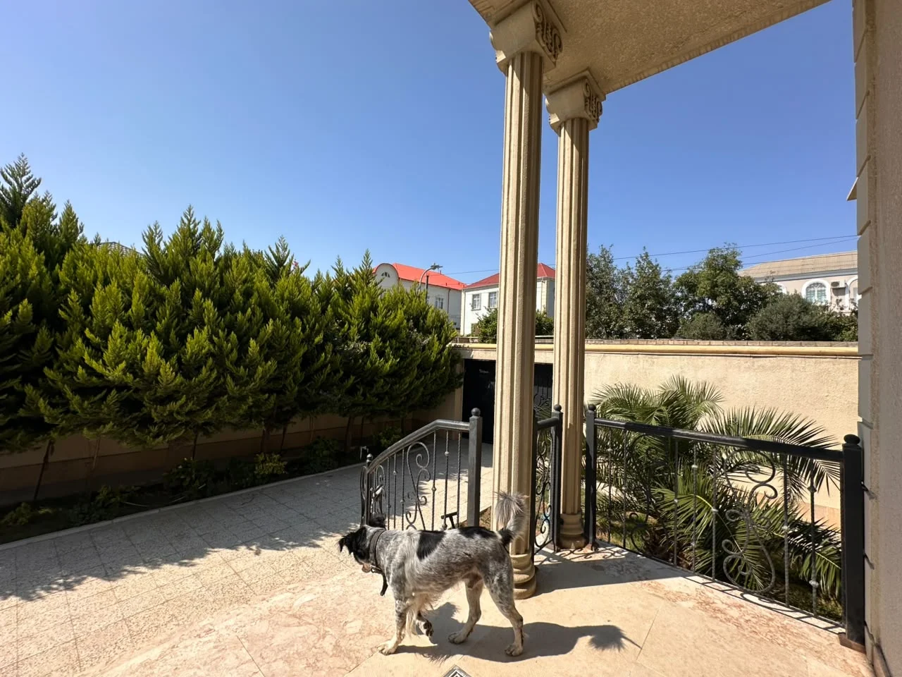 Kirayə 4 otaqlı Həyət evi / Bağ evi 250 m² Binəqədi r. – şəkil 20