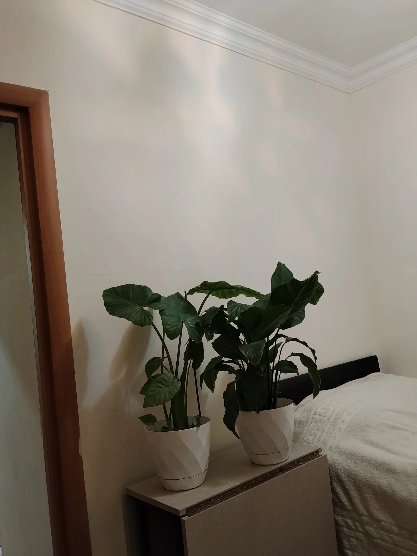 Satılır 2 otaqlı Mənzil 46 m² Binəqədi r.