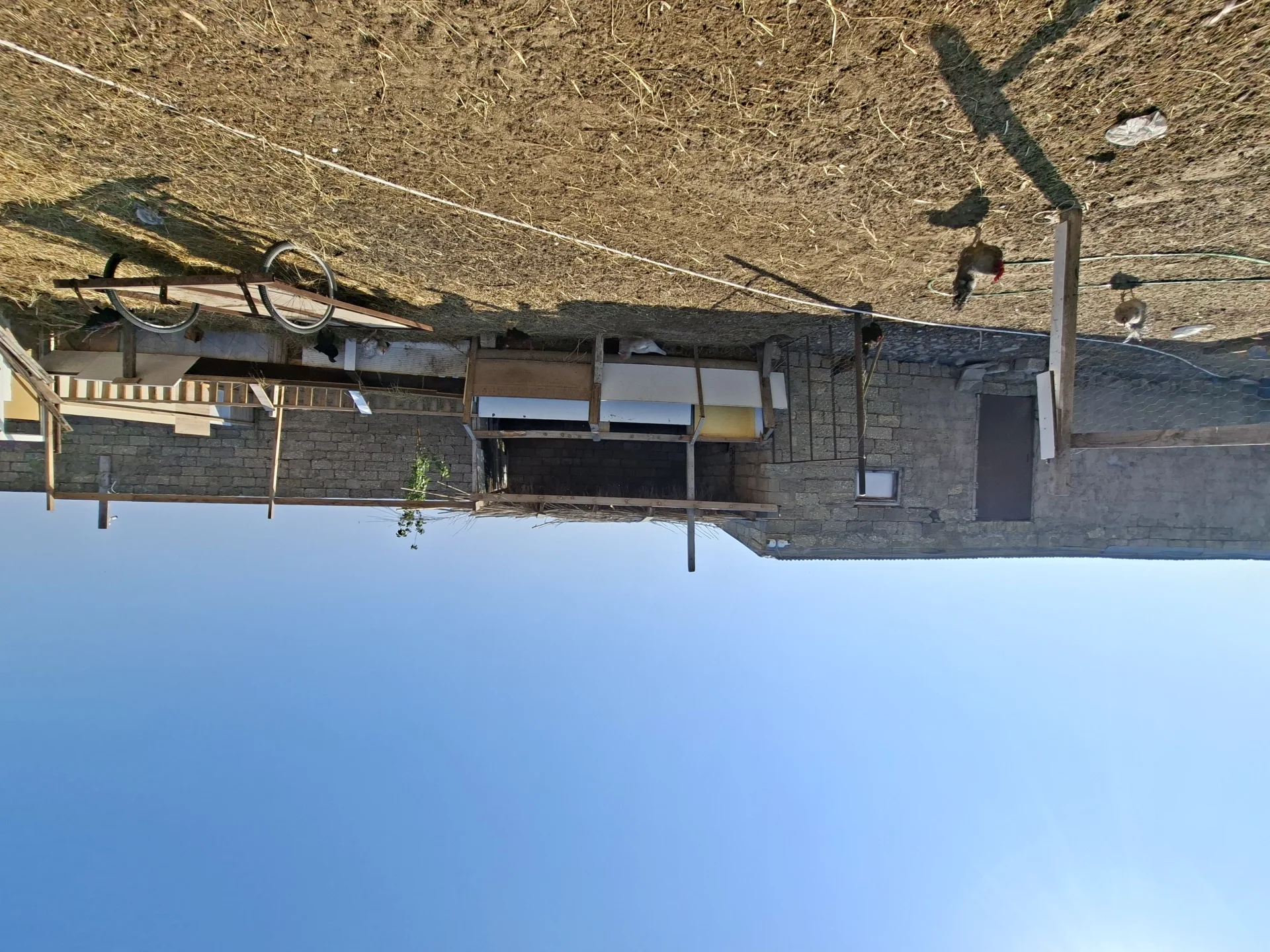 Satılır 3 otaqlı Həyət evi / Bağ evi 100 m² Xəzər r.
