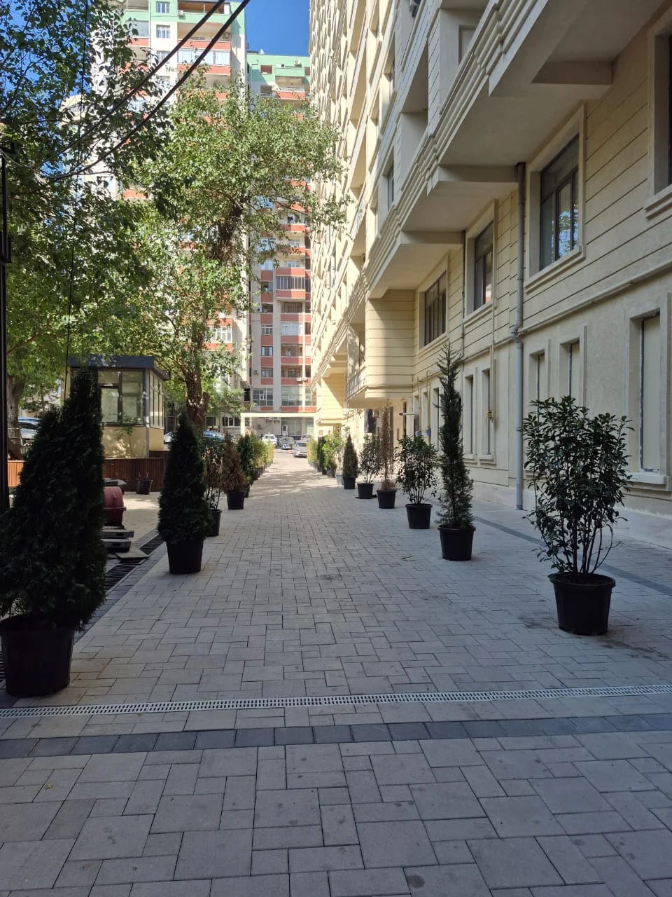 Çapayev Effekt park