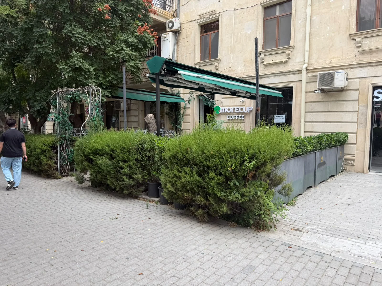 Elimler akademiyası