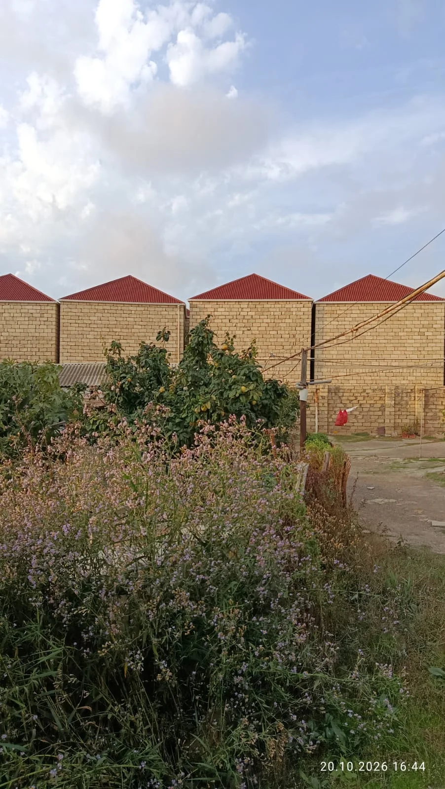 Satılır Torpaq Abşeron r. Masazır q. – şəkil 6